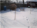 dvorište